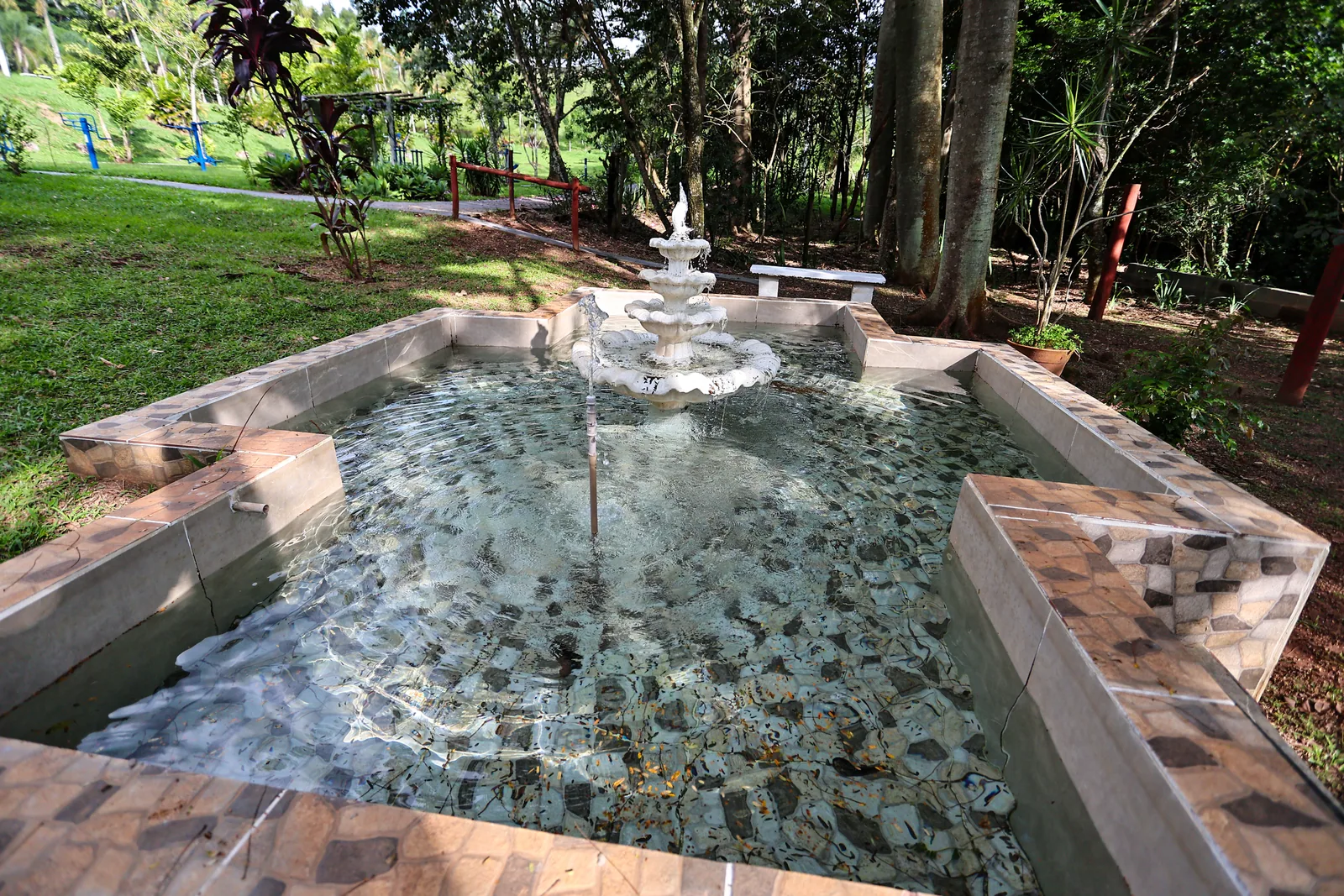 Chafariz de pedra no jardim do Água Santa, entre as árvores