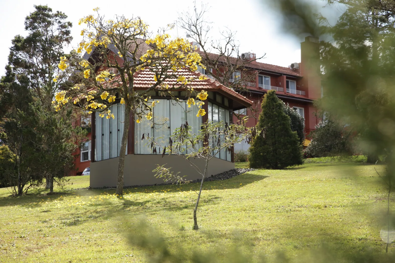 Fachada do prédio principal, com ipê florido em primeiro plano