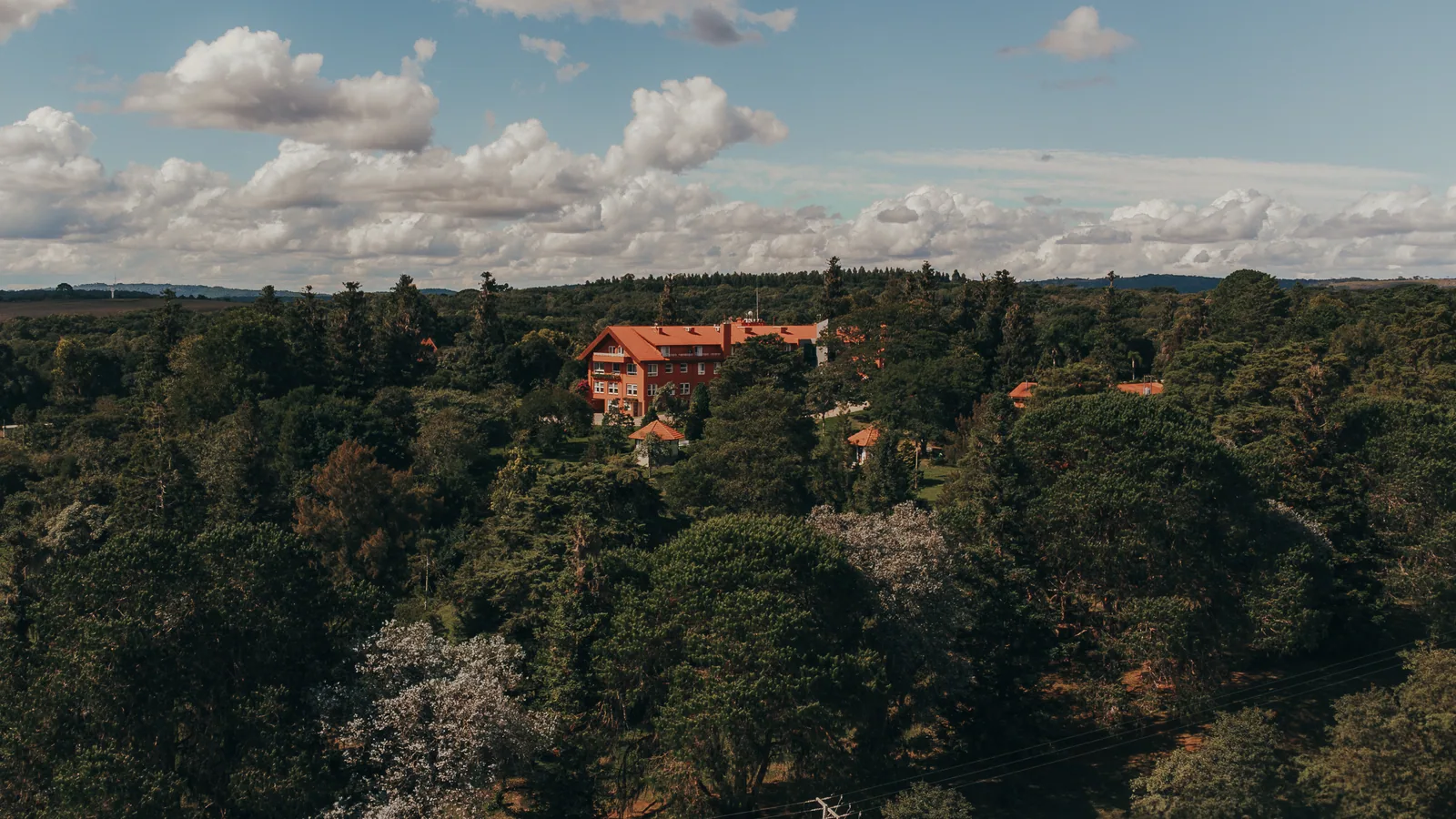 Vista aérea da propriedade sobre a mata nativa de araucárias