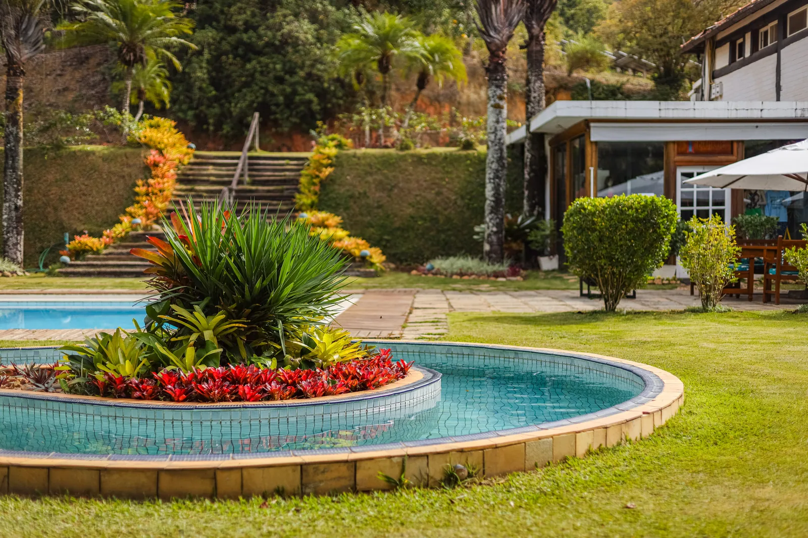 Piscina externa com canteiro de flores vermelhas na borda
