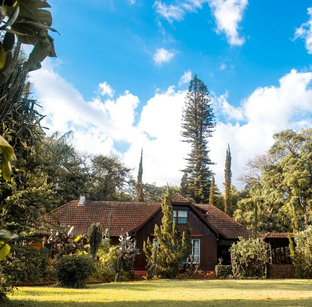 Telhados da sede vistos do jardim, entre araucárias e ciprestes