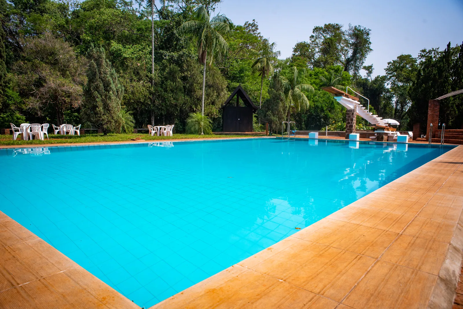 Piscina semiolímpica com deck de pedra, cercada de árvores