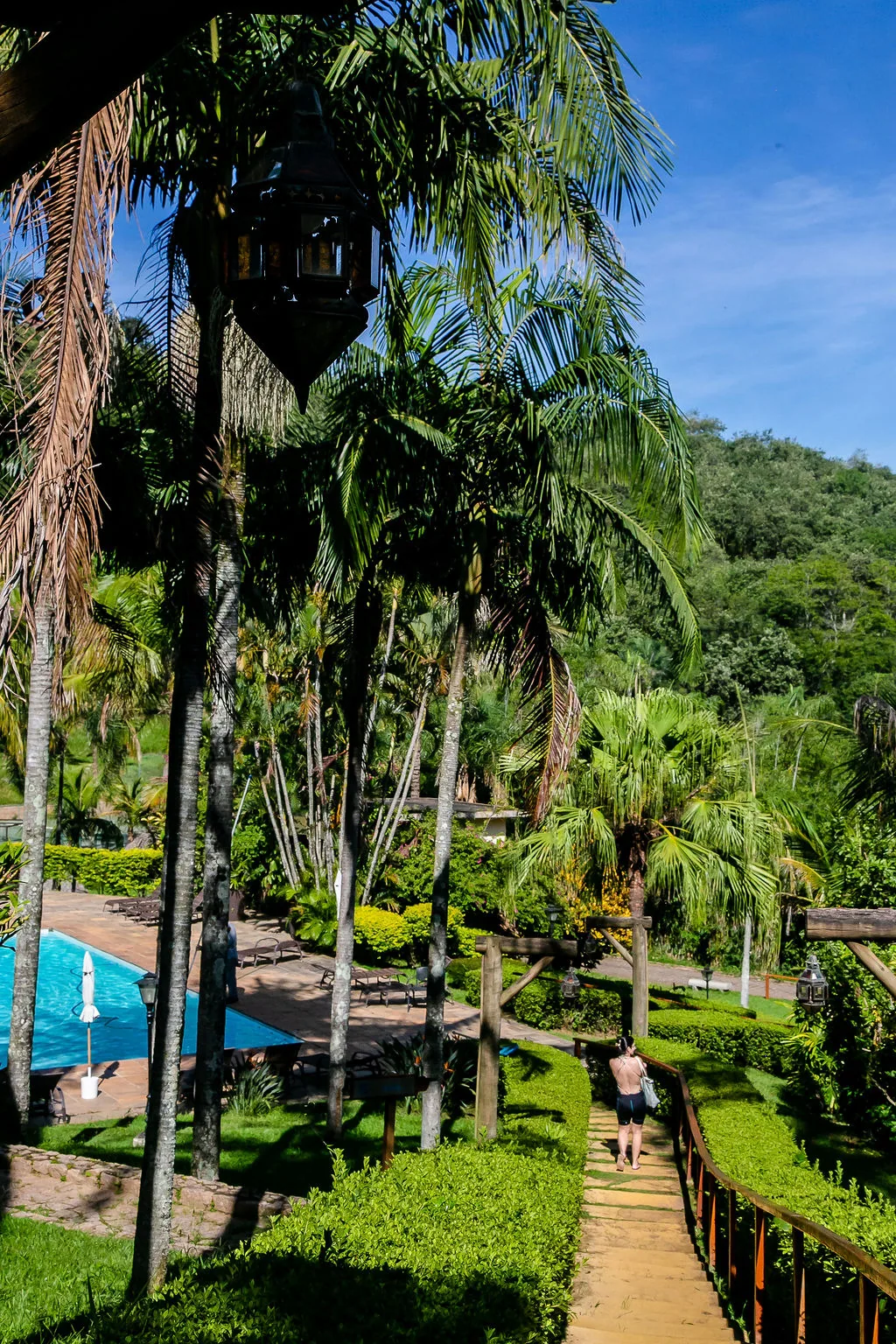 Piscina externa com deck e jardim de palmeiras