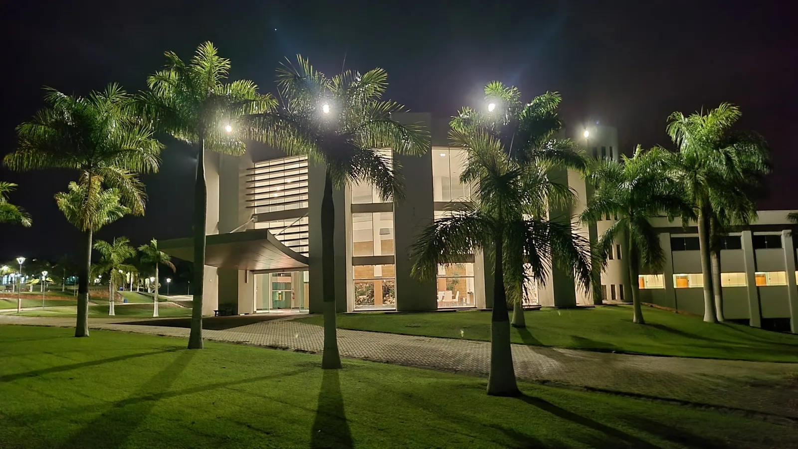 Prédio principal iluminado à noite, entre as palmeiras